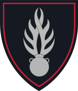 Gendarmerie patch.png