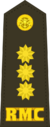 RMC CAPT.png