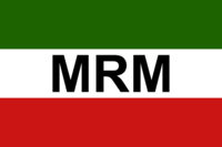 MRM Revolutionary flag2.png
