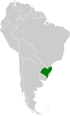 Rio-Grandense Republic