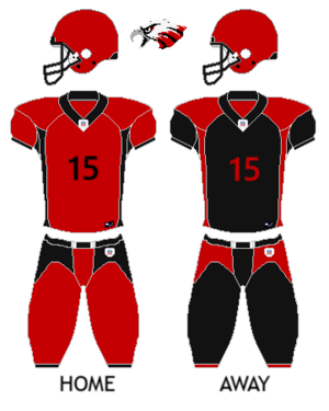 Alenchon Eagles uniform.png