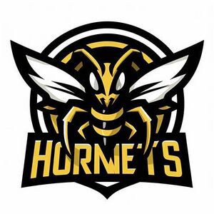 Providence Hornets logo