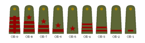 Menghean Army Enlisted Ranks.png