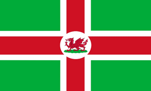 Noddon flag.webp