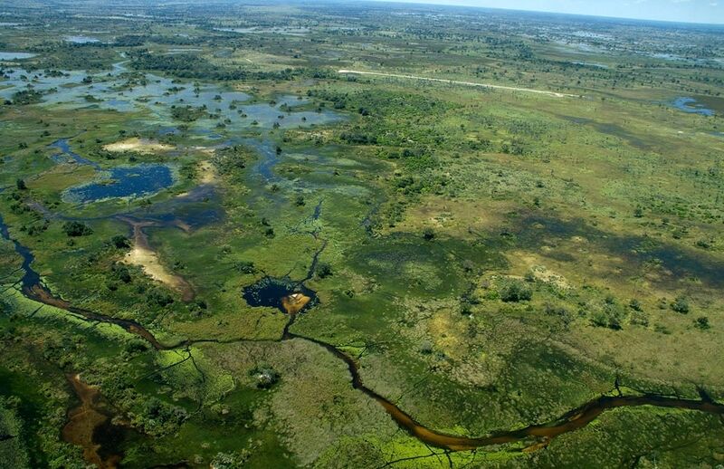 File:Okavango Baira.jpg