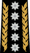 ICSN OR-10 shoulder board.png