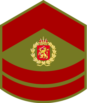 Royal Army, Staff Sergeant Third Class Patch.png