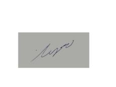 Signatures Rusan I.png
