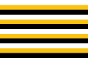 Flag of Sunrosia