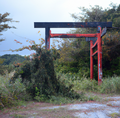 An alleged haunted Torii Gate in Sekapa Seiva