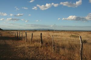 Farmland in Veld.jpg