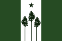 Flag of Aspen