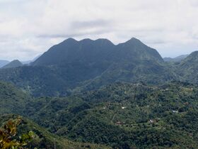 Vegi Kroreg (Mount Gimie, Saint Lucia, edited from original by James Vega on PeakVisor).jpg