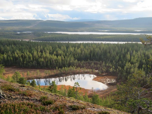 Lake Aurivizh.png