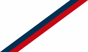 Felsinia flag 2018.png