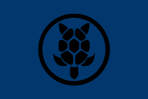 Amenria navy flag.png