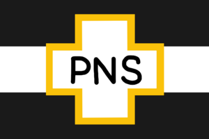 PNSflag.png