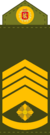 Royal Army, Chief Master Sergeant.png
