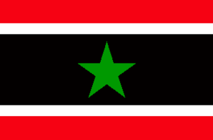 Flag of Nindegaan.png