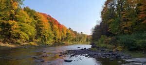 QuebecLandscape.jpg