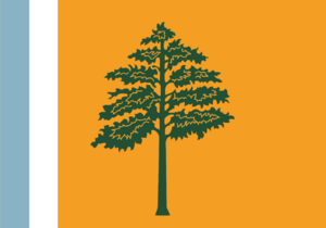 Pacanesia flag.png