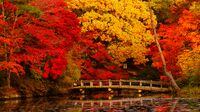 Fall colors at an Eklisa in Sogumi