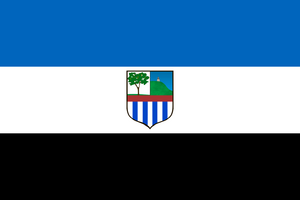 Flag of Cerro.png