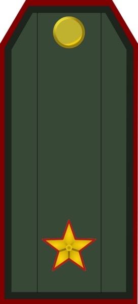 File:Service Holyn Ground Forces OF 6.png