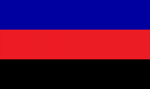 Flag of Zitru.png
