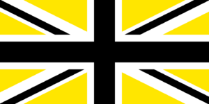 Peñarol flag.png