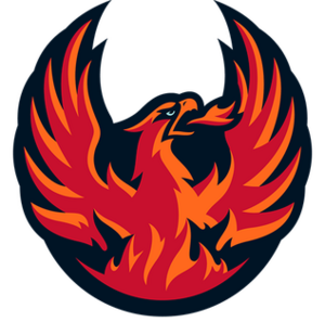 Tyl Firebirds logo.png