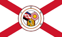 Flag of the Borealian United Front