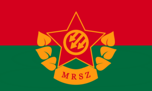 MRSZ flag.png