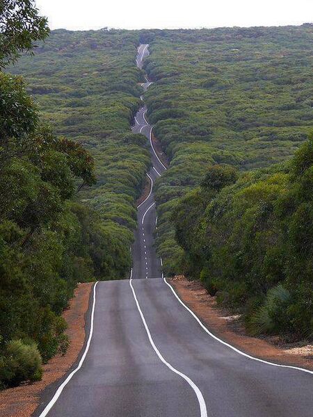 File:A road on Kangaroo Island, South Australia.jpg