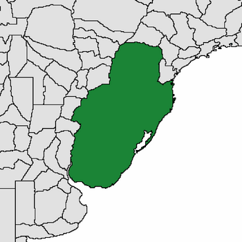 Trenado's localization in South America.