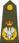 Vozh-National-Army-OF-10.svg.png