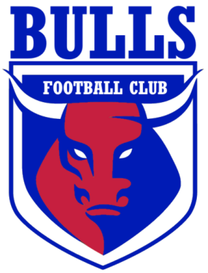 McDowell Bulls FC logo.png