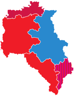 Piraea 2020 Regional Elections.png