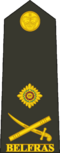 Belfras Army Lieutenant General.png
