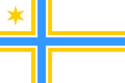 Nordic cross of blue surrounded by yellow with a yellow six-pointed star in the canton and a white background.