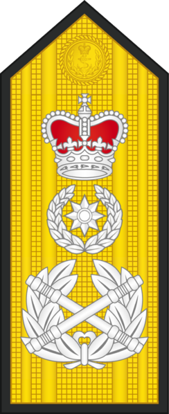 File:Rijksadmiraal shoulder board.png