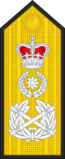 Rijksadmiraal shoulder board.png