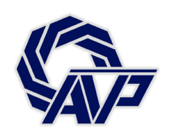 AVP Logo.png