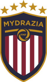 Shirt badge/Association crest