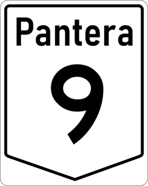 PN-9.png