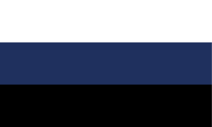 Flag of Polnitsa.png
