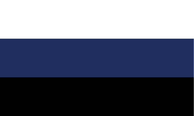 File:Flag of Polnitsa.png