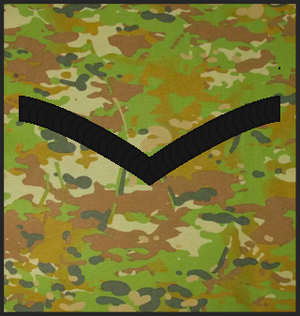 MERPAT LCPL.png