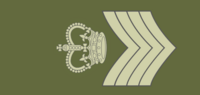 Aswick Army Sergeant Major.png
