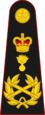 National Marechaussee CINC rank insignia.png